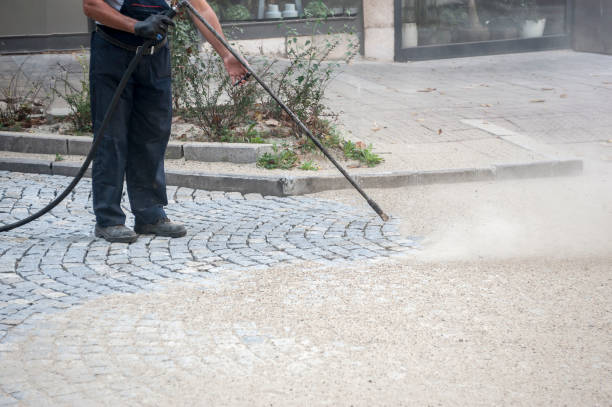 Best Roof Washing  in West Freehold, NJ